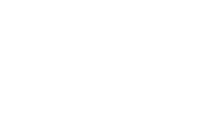 dssmlty logo